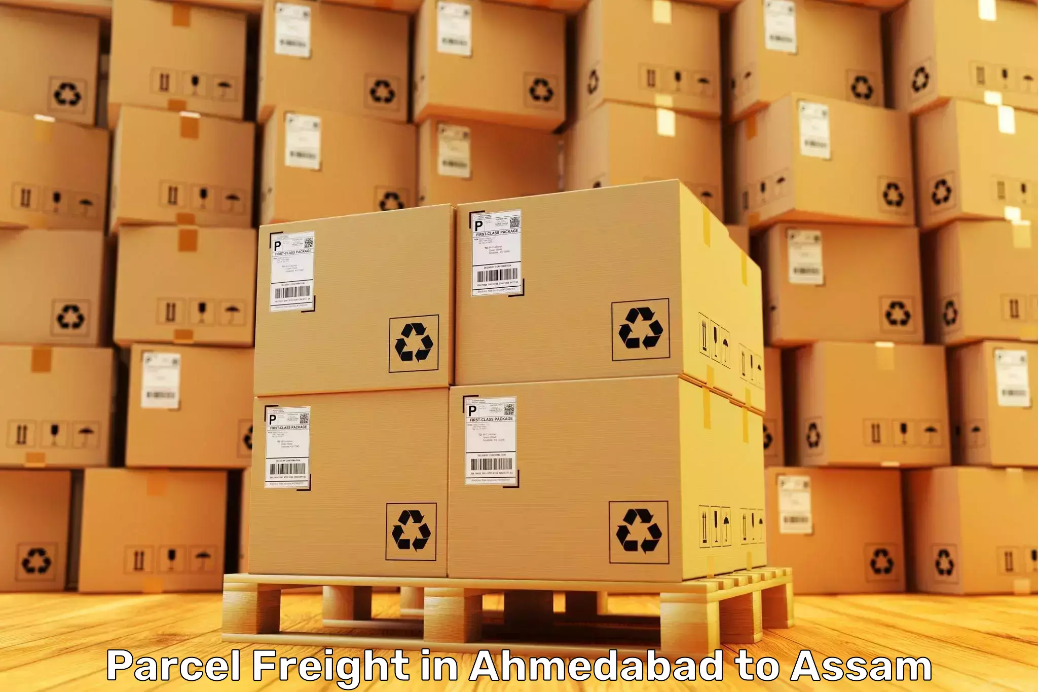 Book Ahmedabad to Dokmoka Parcel Freight