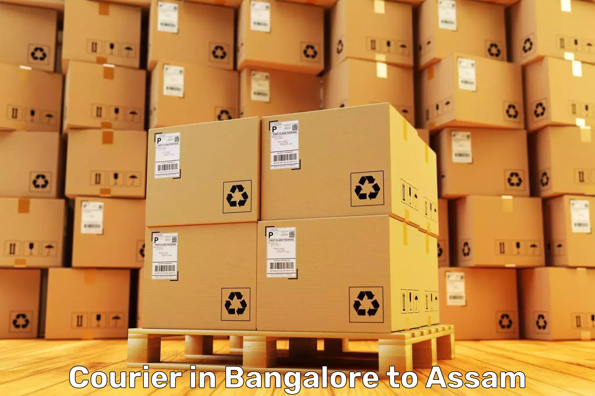 Professional Bangalore to Tezpur University Tezpur Courier