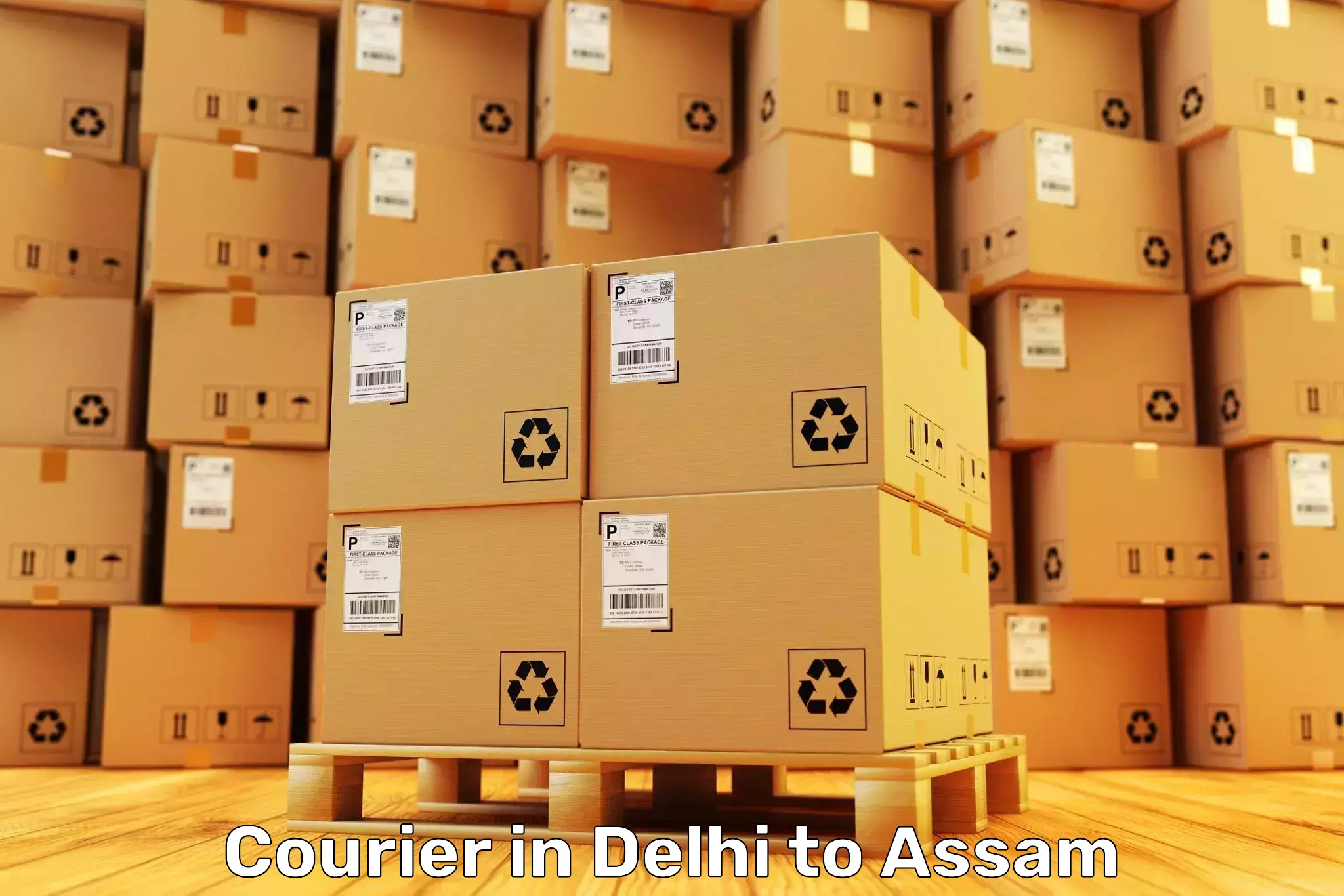 Affordable Delhi to Khumtai Courier