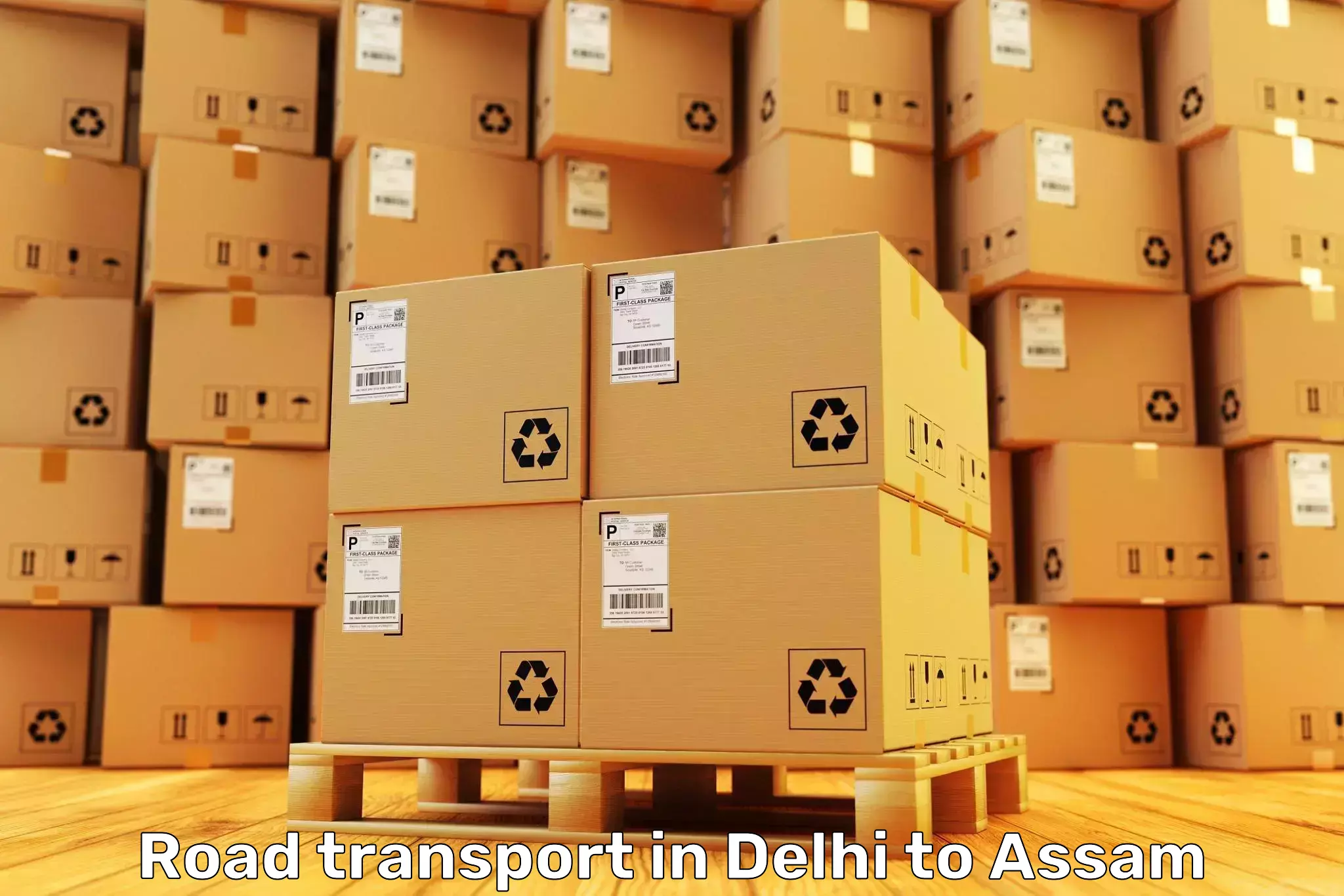 Book Delhi to Assam Road Transport Online