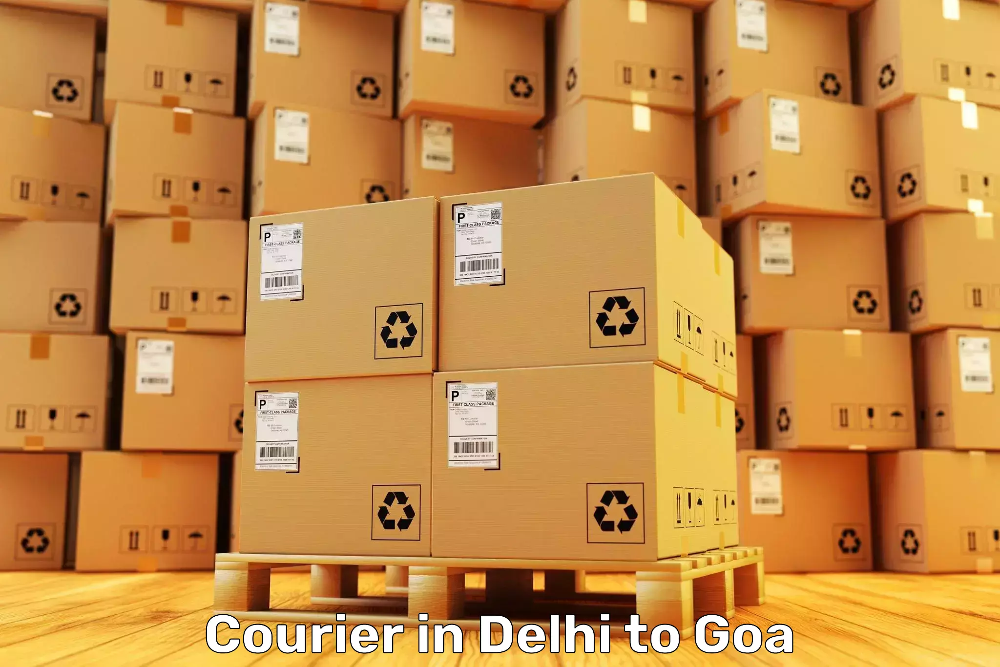 Book Your Delhi to National Institute Of Technology Goa Farmagudi Courier Today