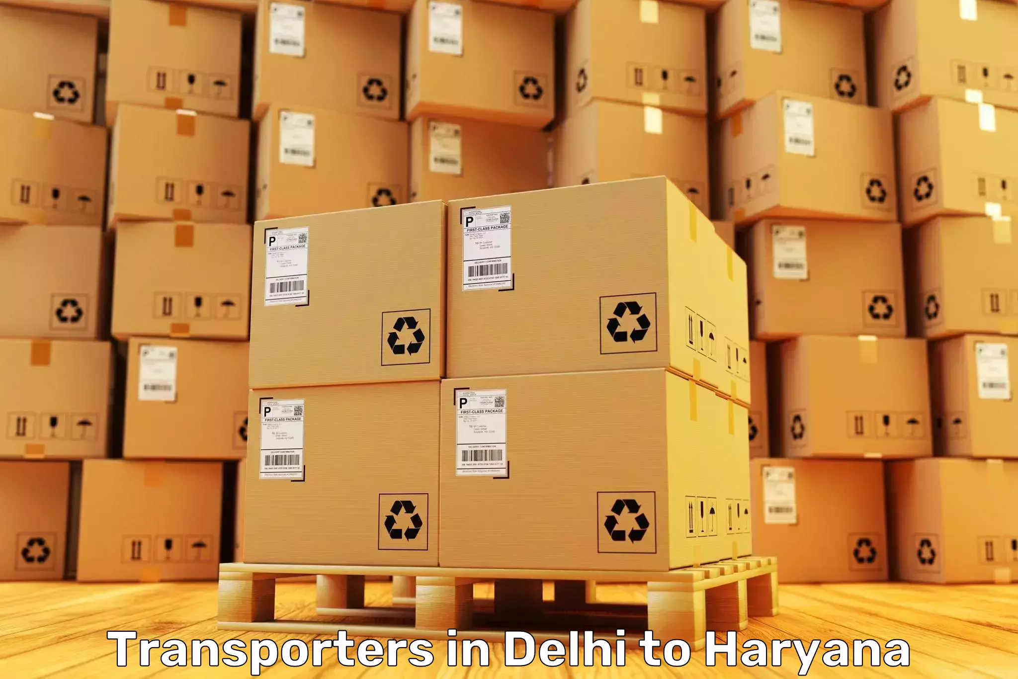 Efficient Delhi to Haryana Transporters