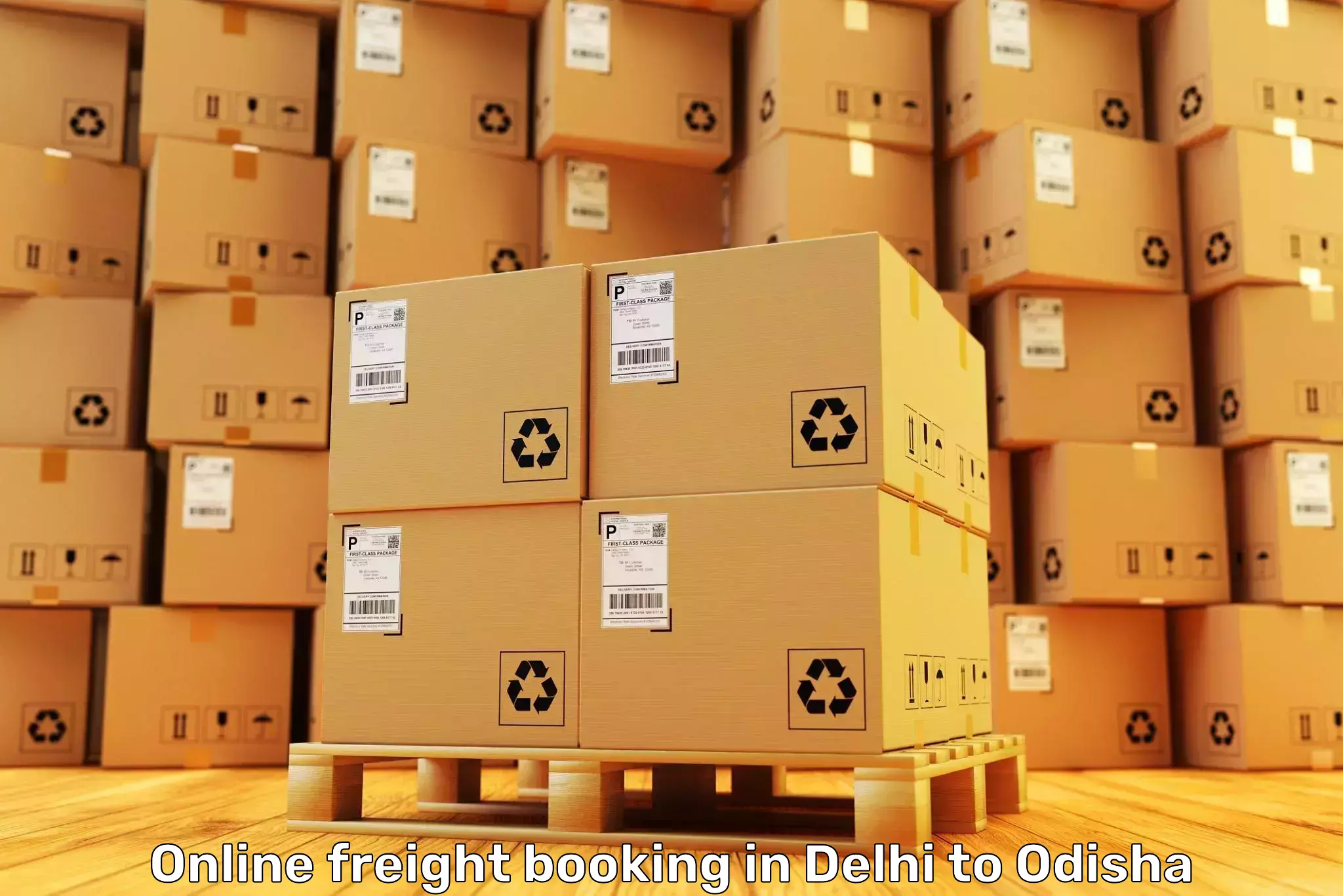 Efficient Delhi to Sinapali Online Freight Booking