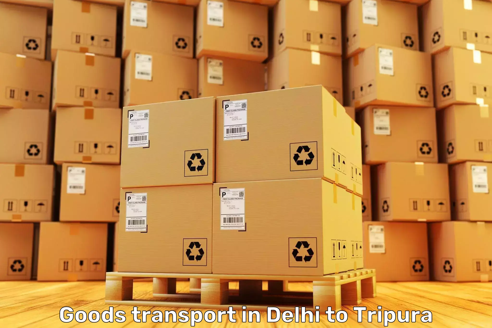 Trusted Delhi to Tripura Goods Transport